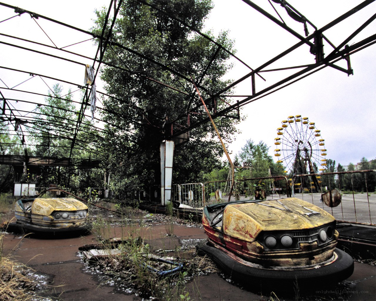 Abandoned amusement park