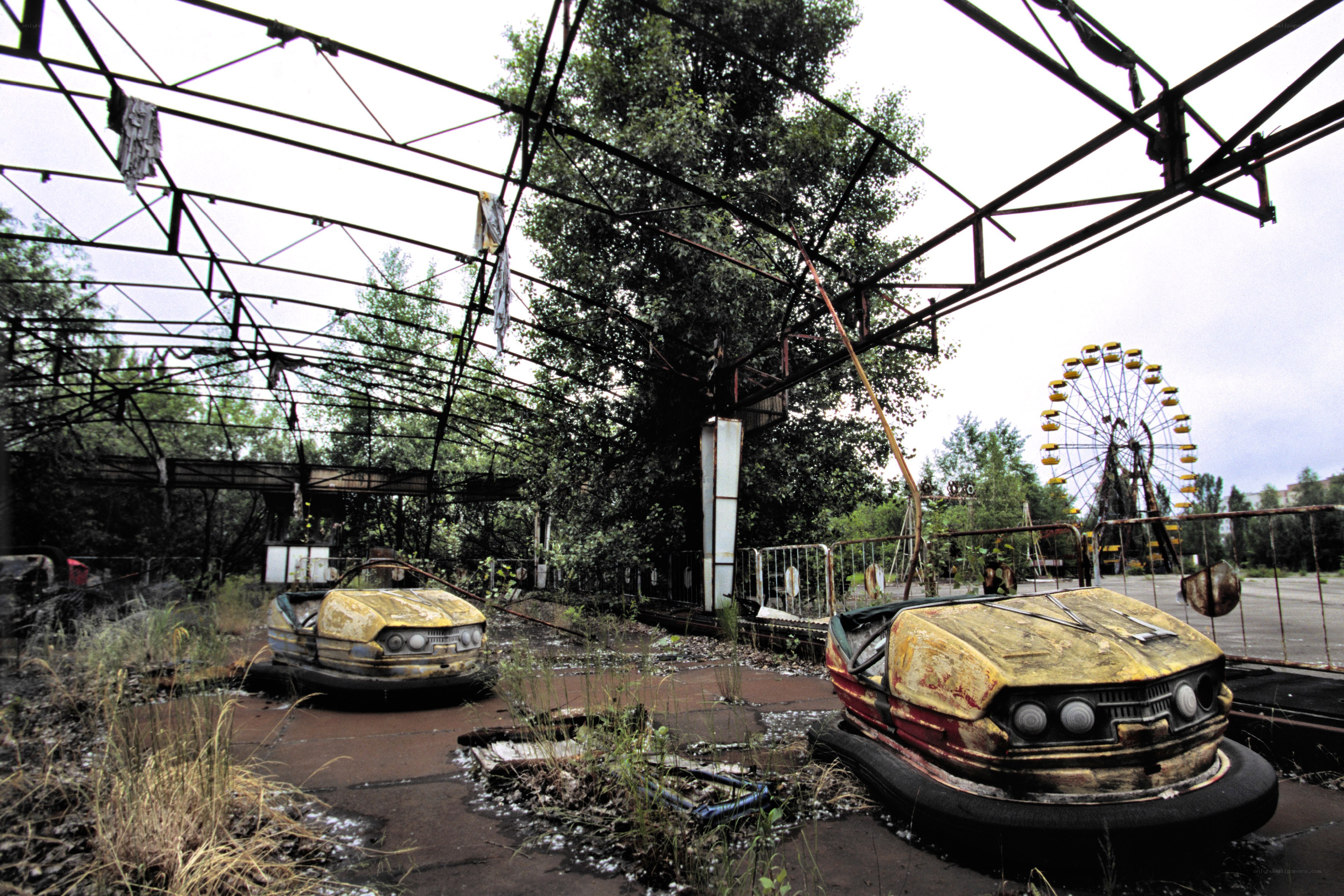 Abandoned amusement park