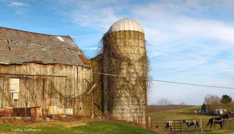 Abandoned Barn and Silo — Blue, Rural