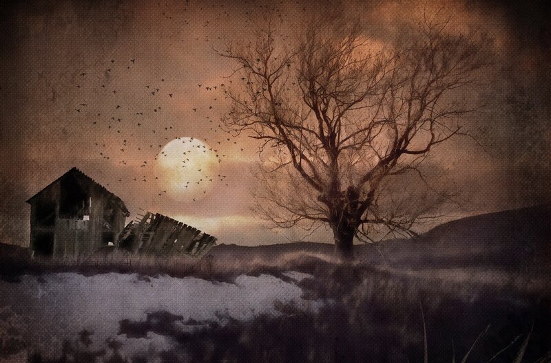 Abandoned Barn and Tree