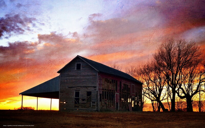 Abandoned Barn at Sunset — Orange, Dramatic, Photograph, Trees