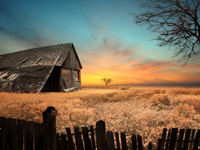 Abandoned Barn at Sunset — Orange, Serene