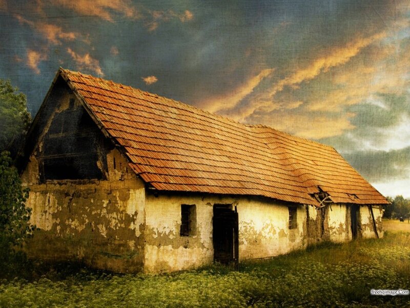 Abandoned Barn — Brown