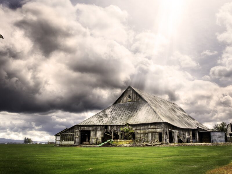 Abandoned Barn — Green, Dramatic