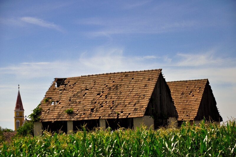 Abandoned Barn — Green, Serene