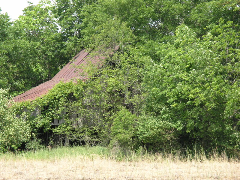 Abandoned Barn — Green