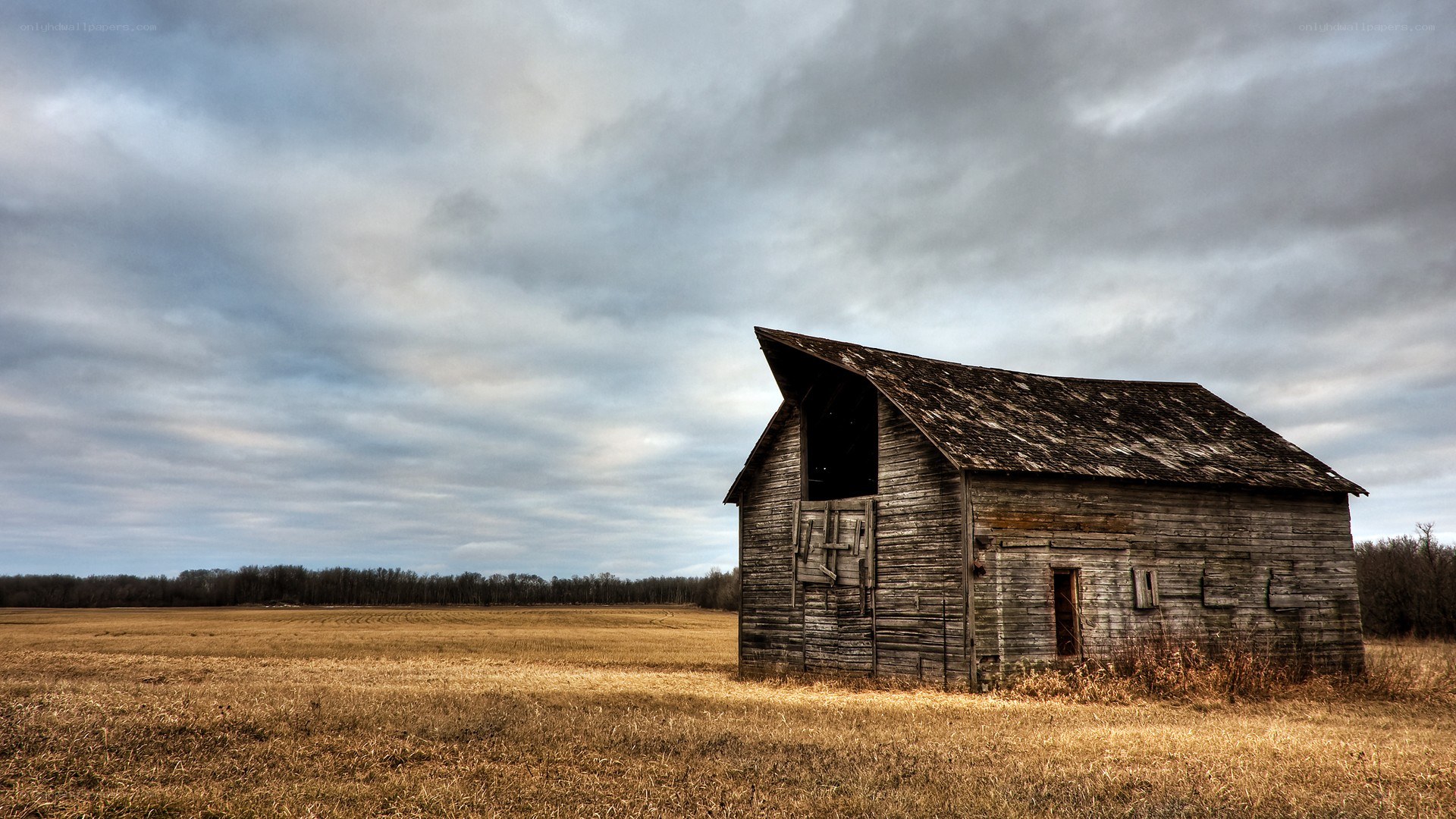 Abandoned barn in a field