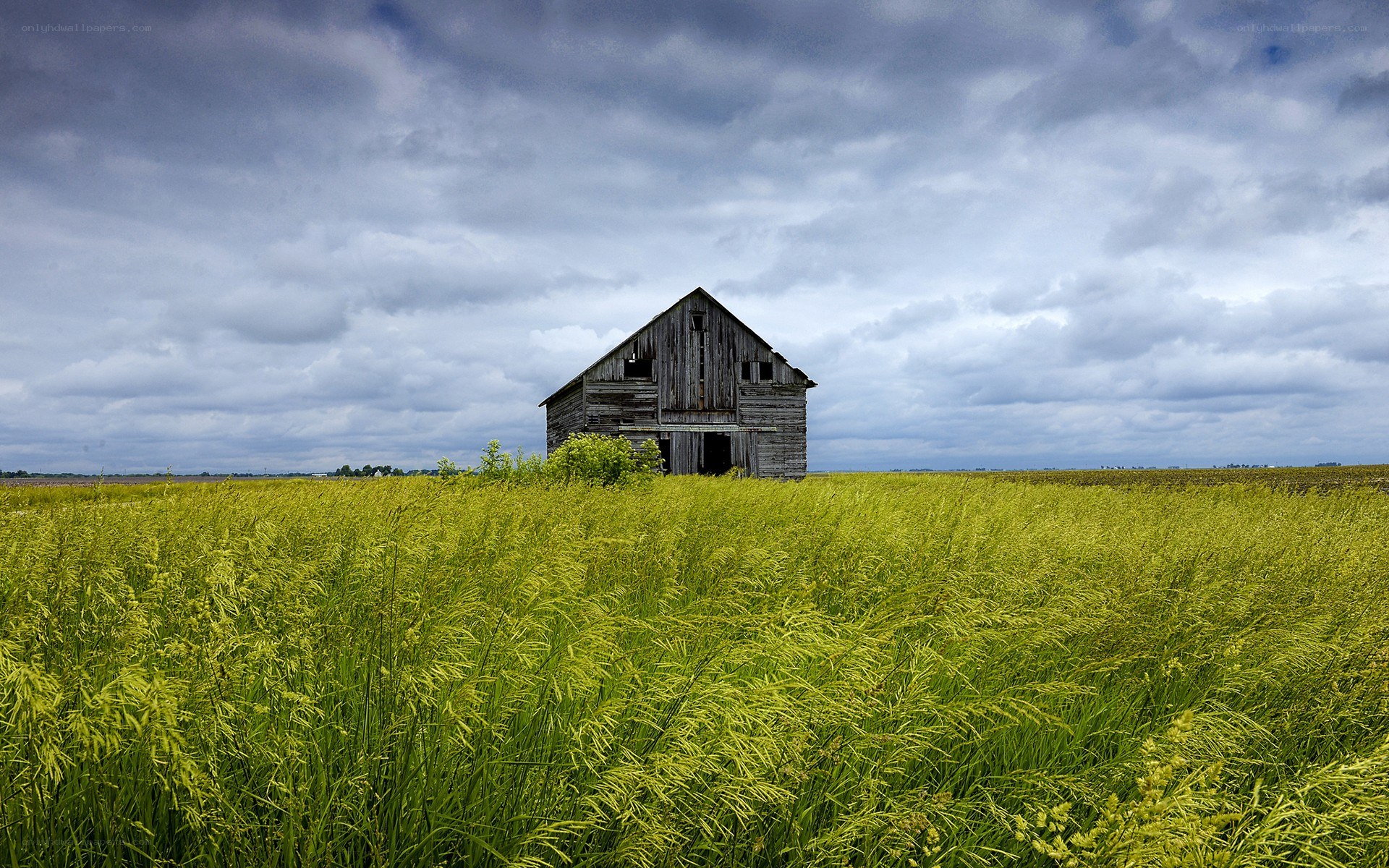 Abandoned barn in a field