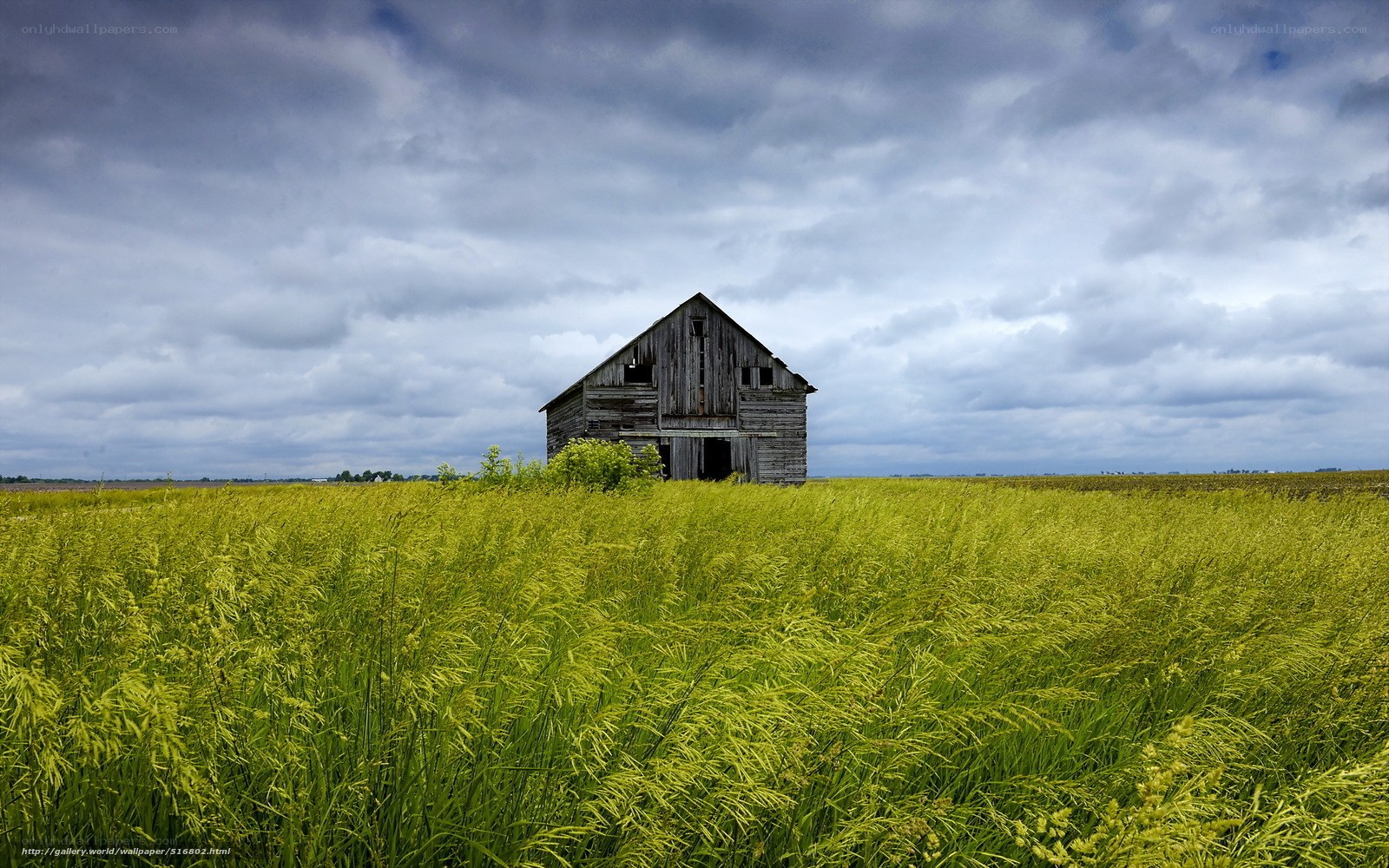 Abandoned barn in a field