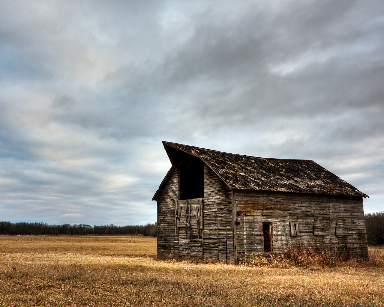 abandoned barn in a field