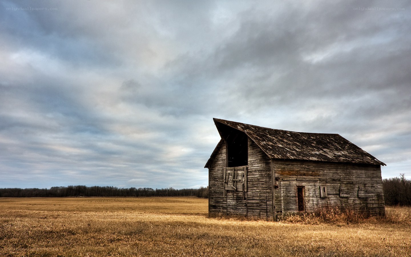 abandoned barn in a field
