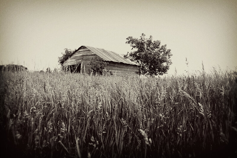 Abandoned barn in a field