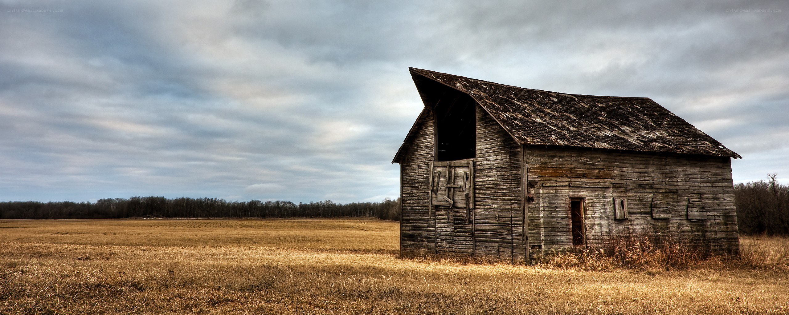 Abandoned barn in a field