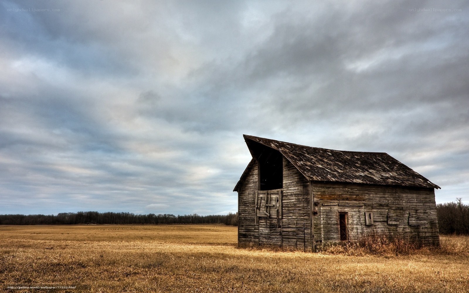 Abandoned barn in a field