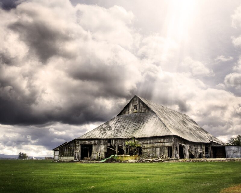 Abandoned barn in a green field