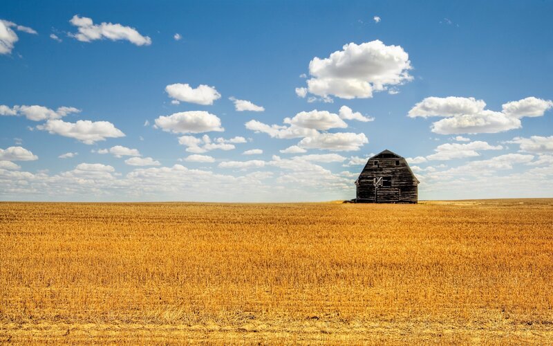 Abandoned Barn in Field — Blue, Serene
