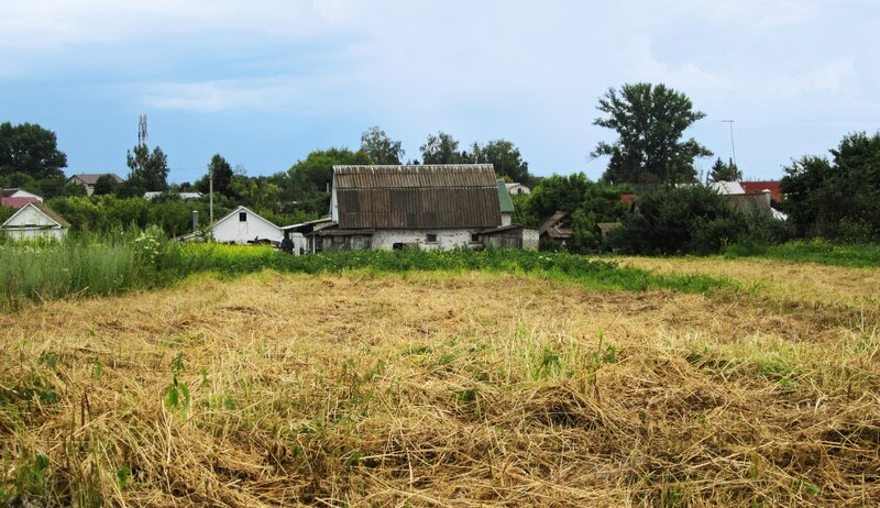 Abandoned Barn in Field — Brown, Calm