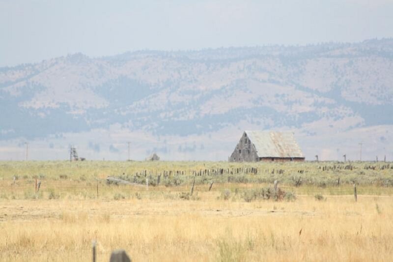 Abandoned Barn in Field — Brown