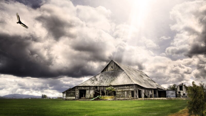 Abandoned Barn in Field — Green, Dramatic, Afternoon