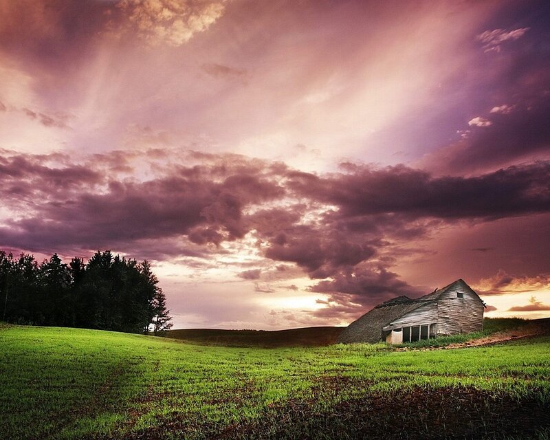 Abandoned Barn in Field — Green, Dramatic, Sunset, Photograph