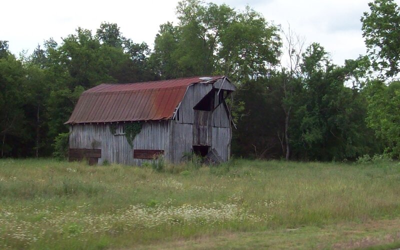 Abandoned Barn in Field — Green, Quiet