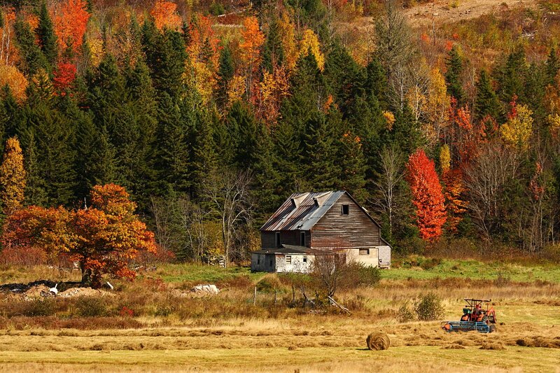 Abandoned Barn in Field — Green, Serene, Autumn