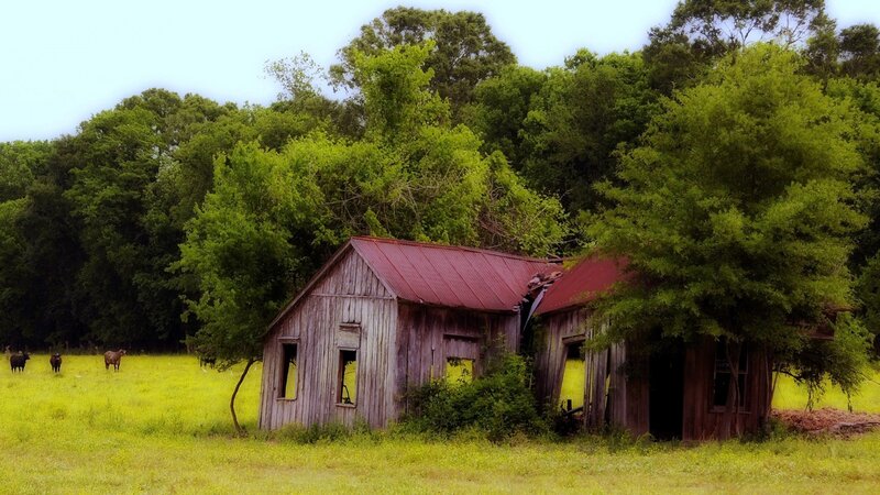 Abandoned Barn in Field — Green, Serene