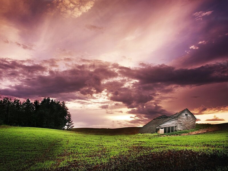 Abandoned Barn in Field — Green