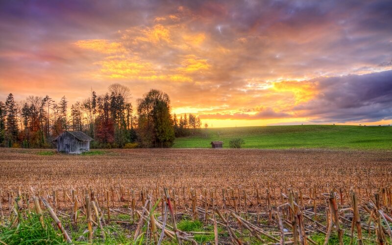 Abandoned Barn in Field — Orange, Dramatic, Sunset