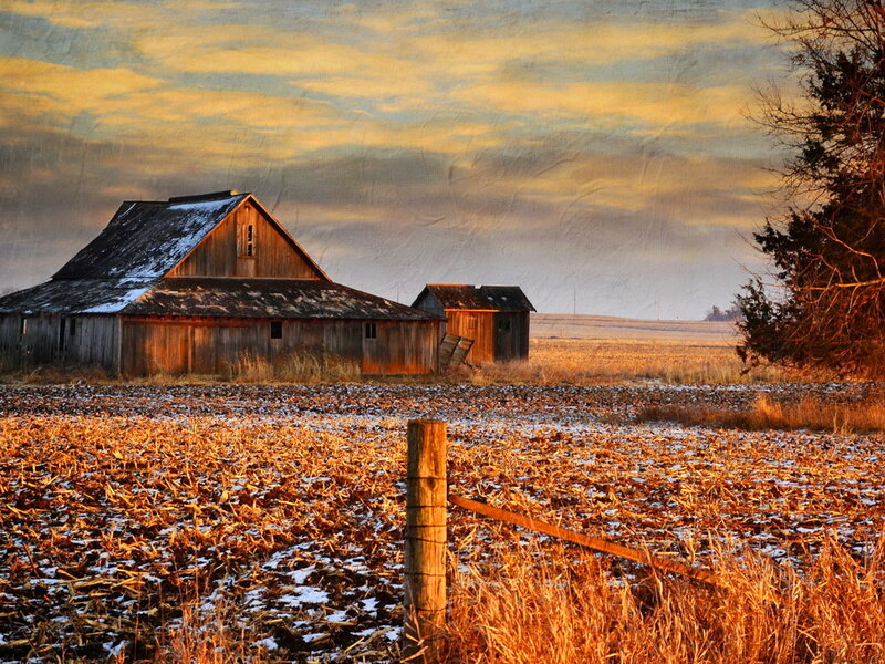 Abandoned Barn in Field — Orange, Dramatic