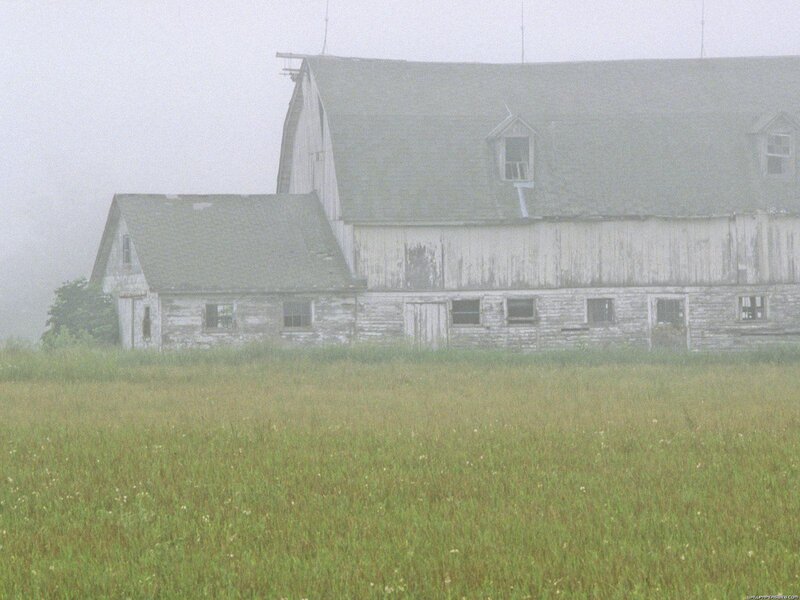 Abandoned Barn in Fog