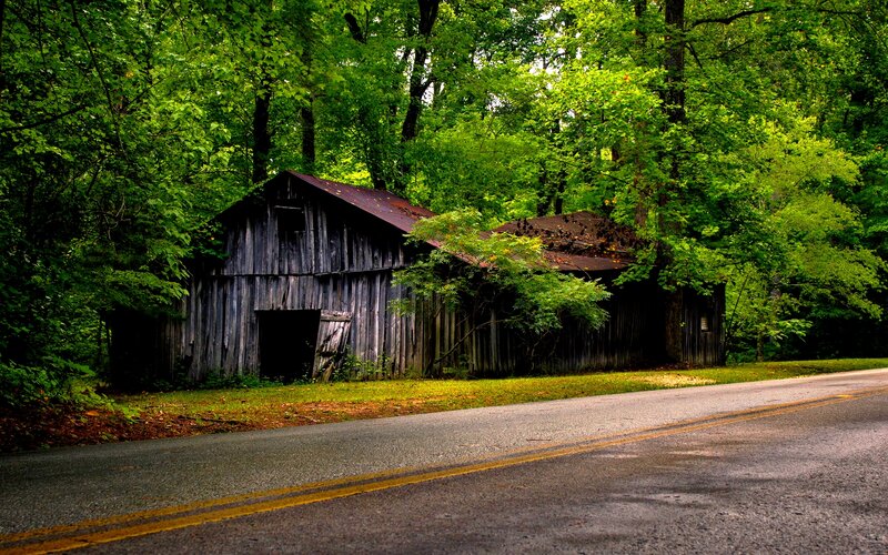 Abandoned Barn in Forest — Green