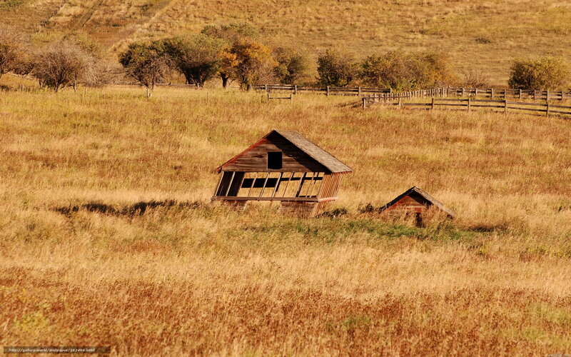 Abandoned barn in golden field