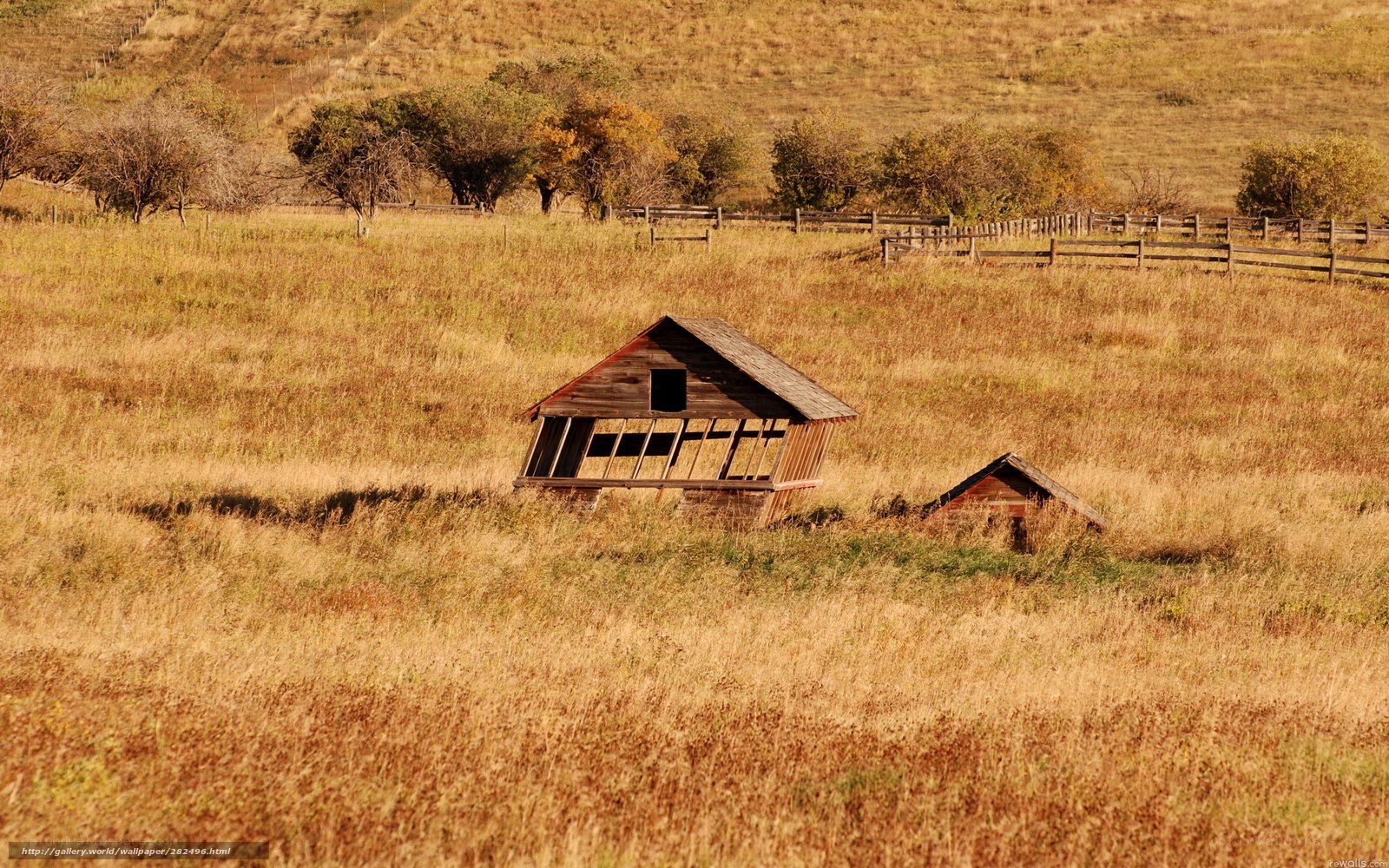 Abandoned barn in golden field