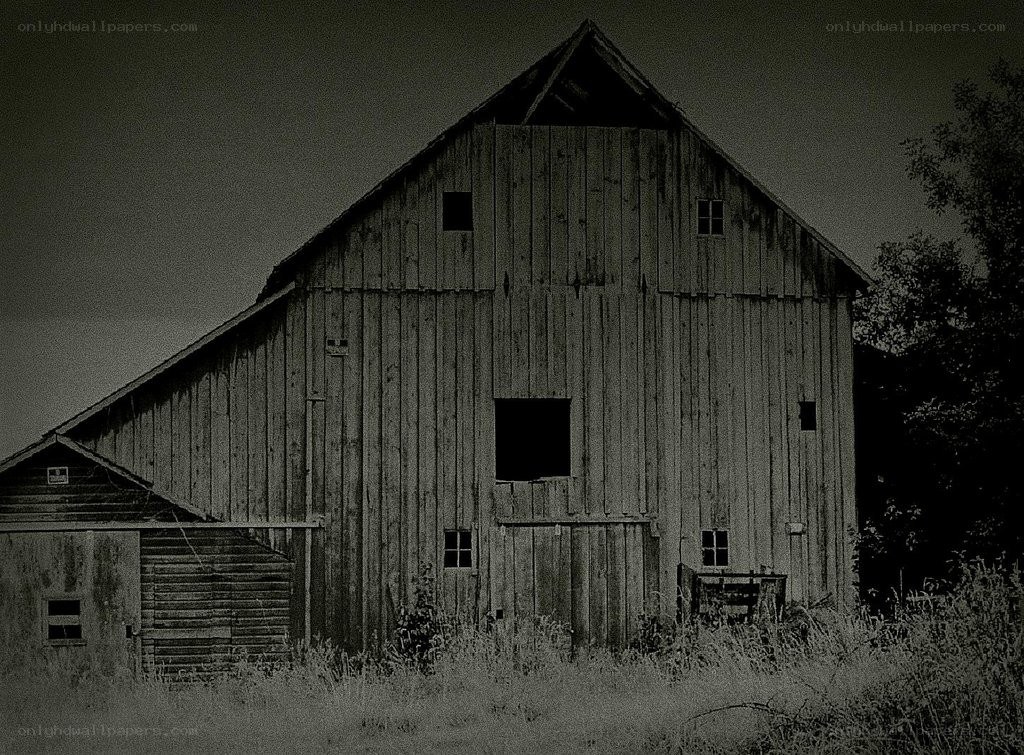abandoned barn in overgrown field