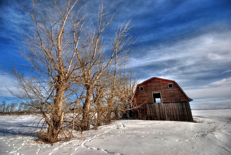 Abandoned Barn in Snow — Blue