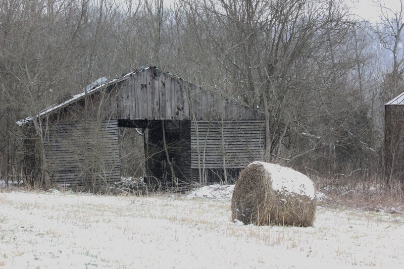 Abandoned Barn in Snow — White