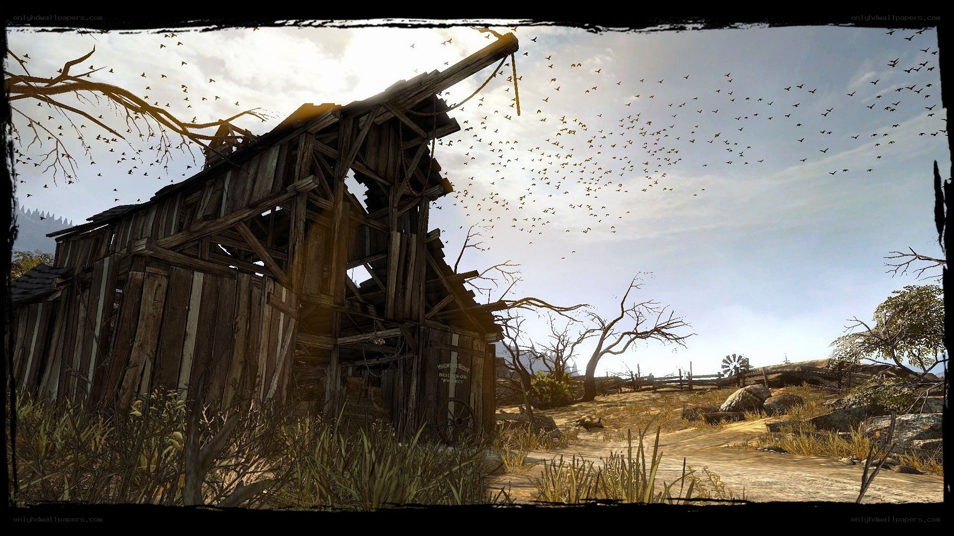 abandoned barn in wild west