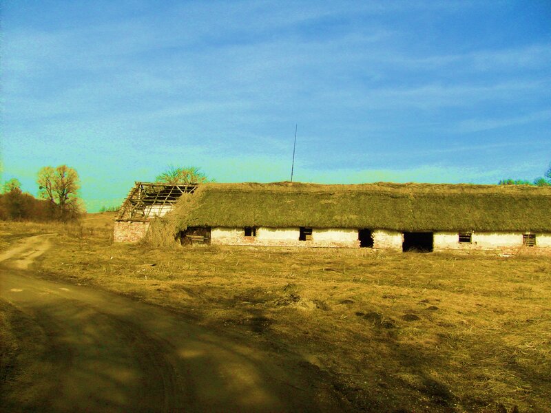 Abandoned Barn with Thatched Roof