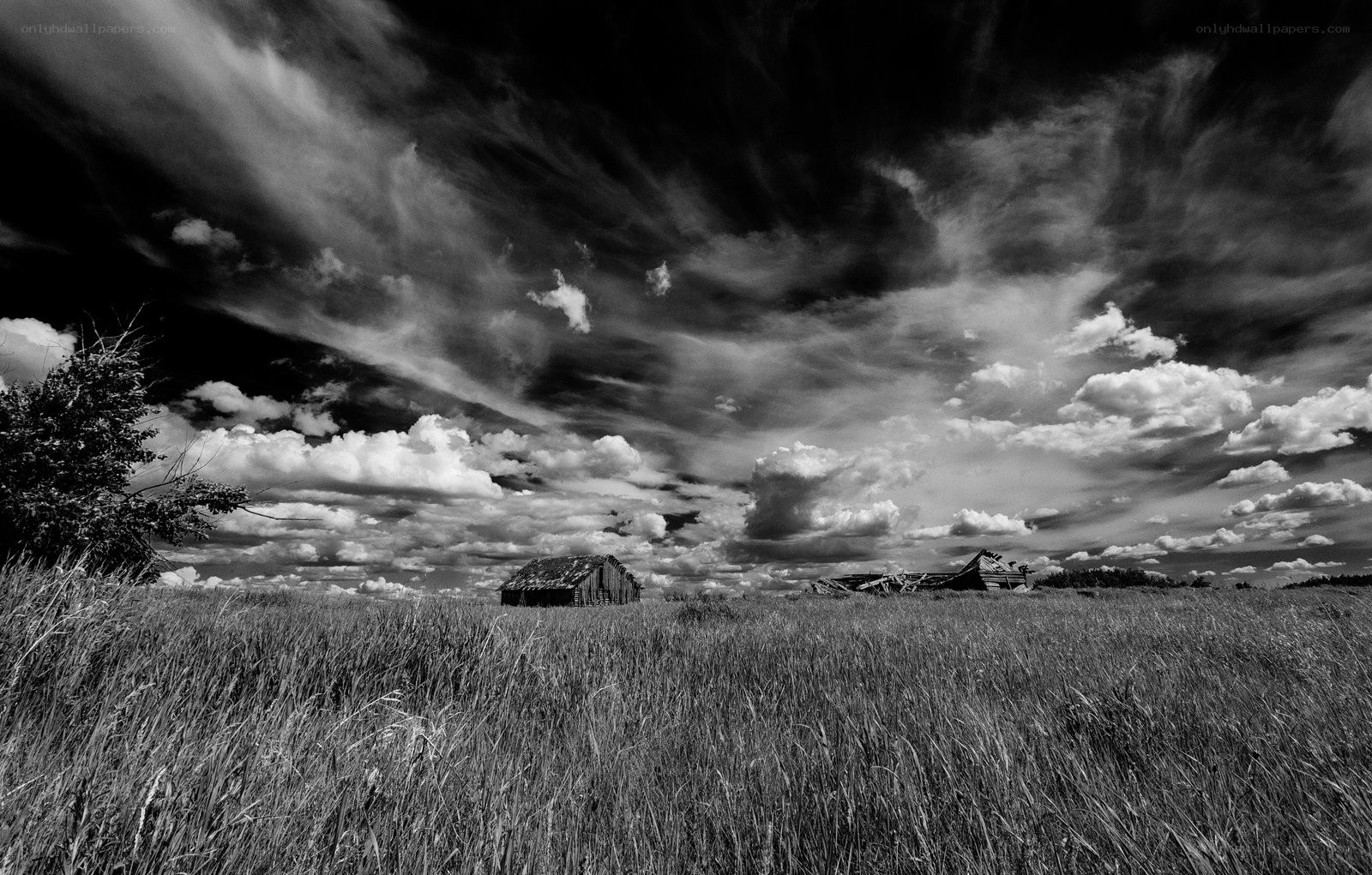 Abandoned barns in a field