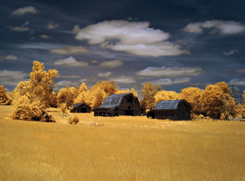 Abandoned Barns in Field — Yellow