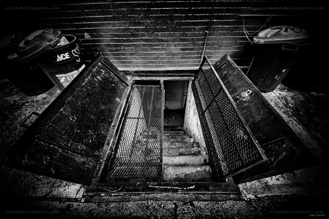 Abandoned basement entrance