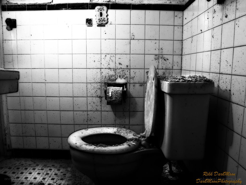 abandoned bathroom toilet