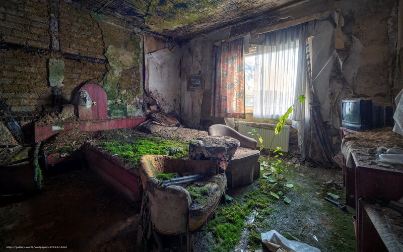 Abandoned Bedroom — Green, Decaying, Afternoon