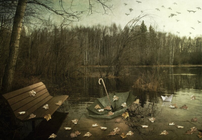 Abandoned Bench by Lake
