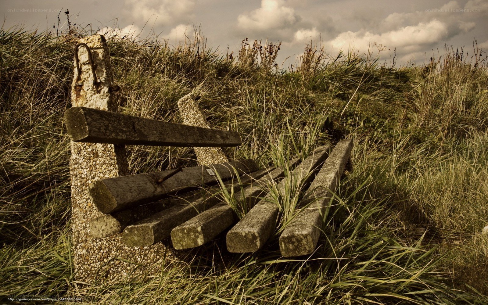 Abandoned bench on a grassy hill