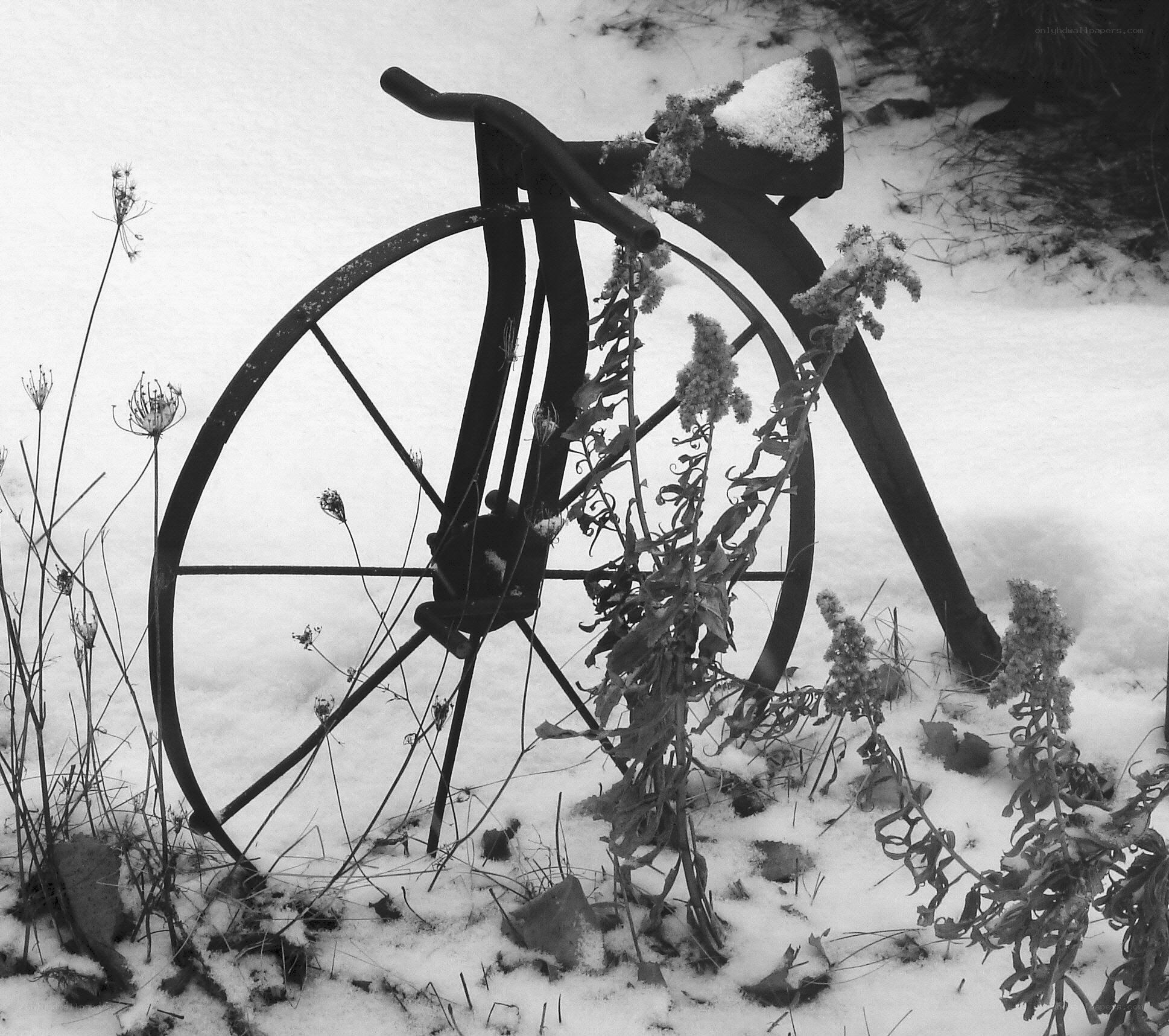 Abandoned bicycle in snow