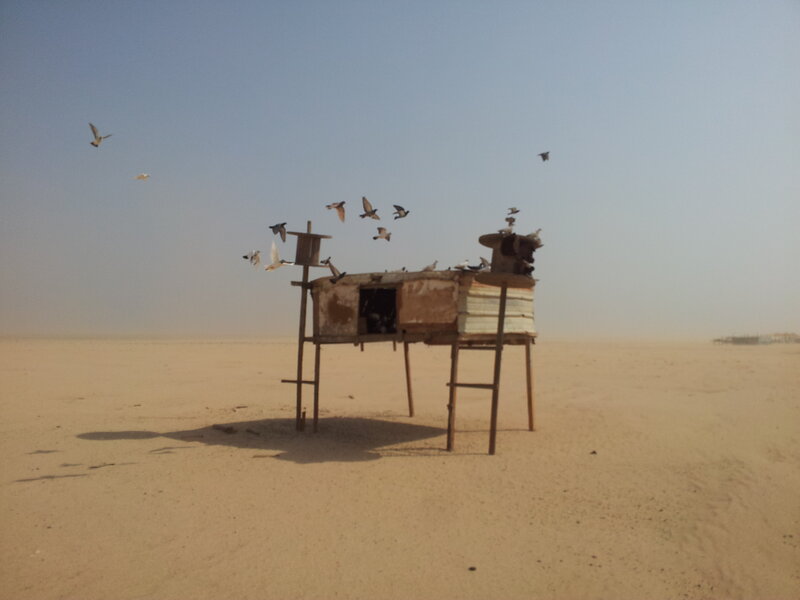 Abandoned Birdhouse in Desert