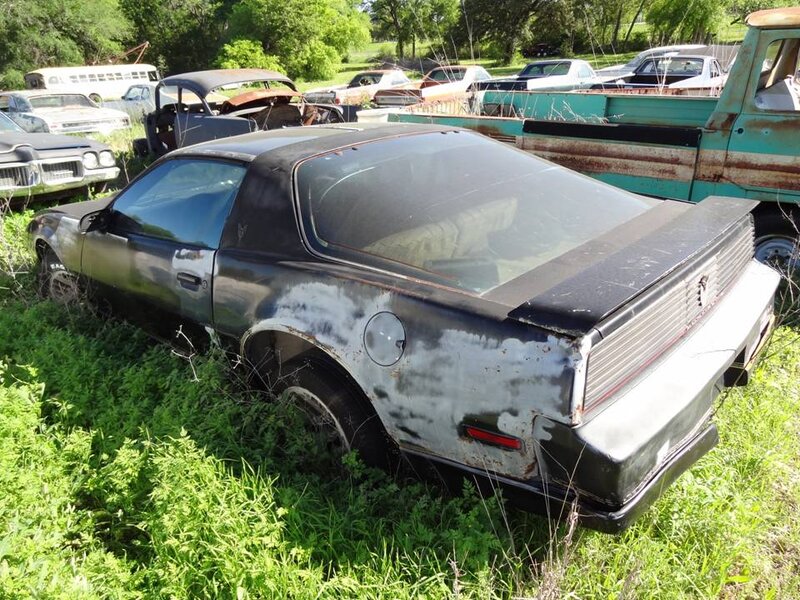 Abandoned Black Car — Green