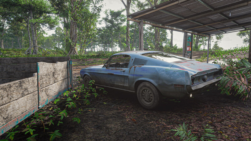Abandoned Blue Car — Overgrown, Afternoon